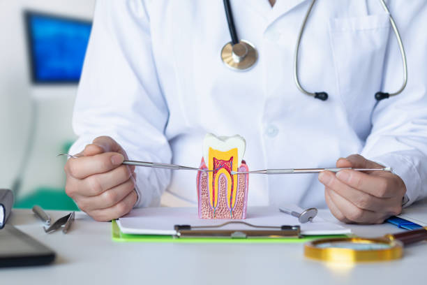 Best Emergency Gum Treatment in Roanoke Rapids, NC